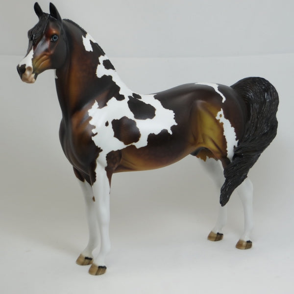 BOYHOOD - OOAK Seal Bay Tobiano Pinto Morgan 2/15