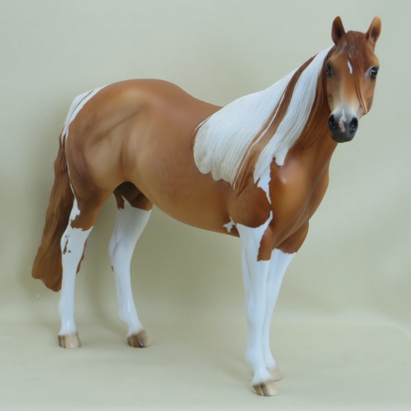 WIKLOW - Dapple Chestnut Paint Stock Horse LE5 3/15