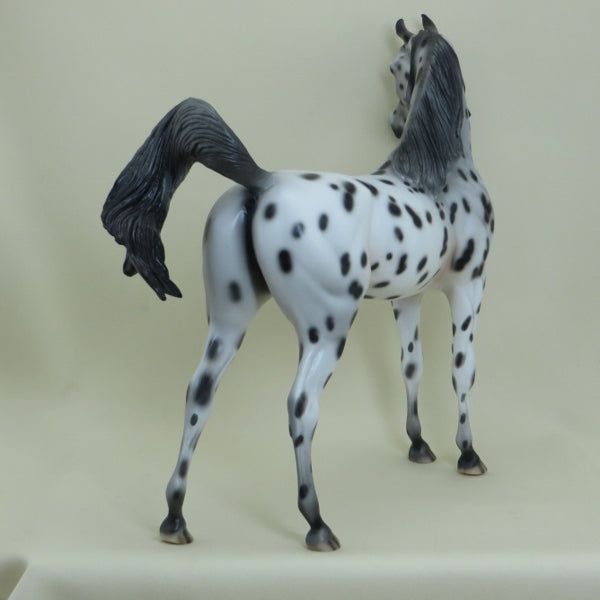 DULUTH - OOAK Leopard Appaloosa Arabian 4/15