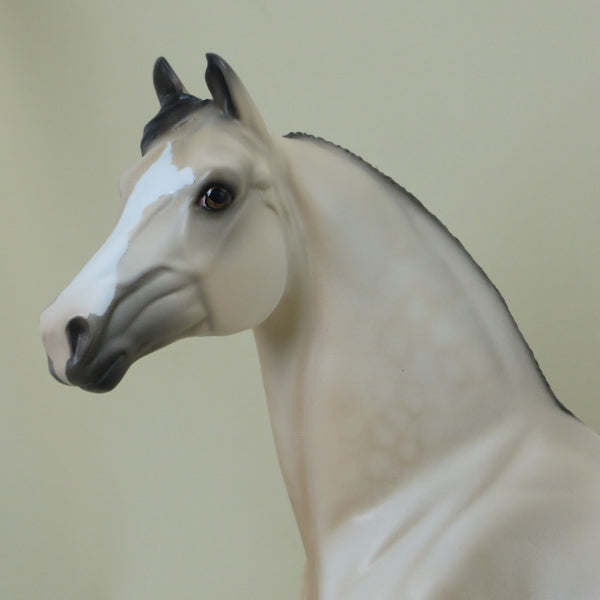 BUCKWHEAT - OOAK Dapple Buckskin Morgan Model Horse with Ribbons - 4/15