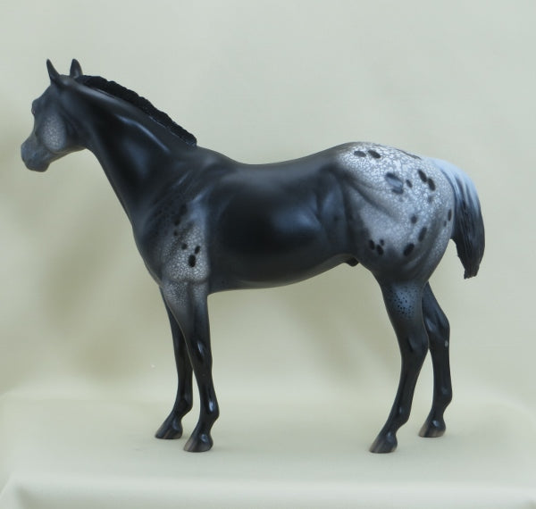 STORM OVER INDIANA - OOAK Black Appaloosa Stock Horse 3/15