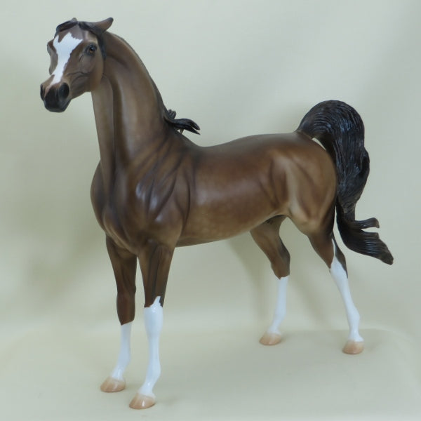 MACLOUGHLIN - OOAK Dapple Chestnut Pinned Ear Arabian 3/15