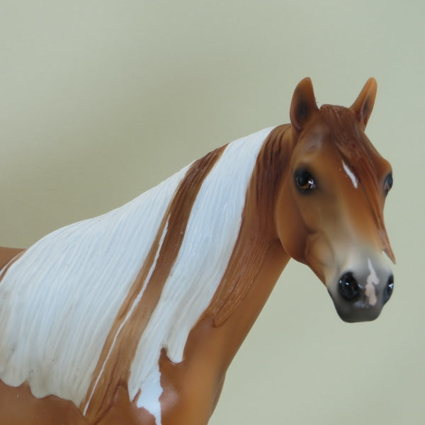 WIKLOW - Dapple Chestnut Paint Stock Horse LE5 3/15