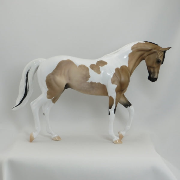 FIVE STAR - OOAK Dapple Buckskin Pinto Thoroughbred by D'Array Jone Frank - 5/15