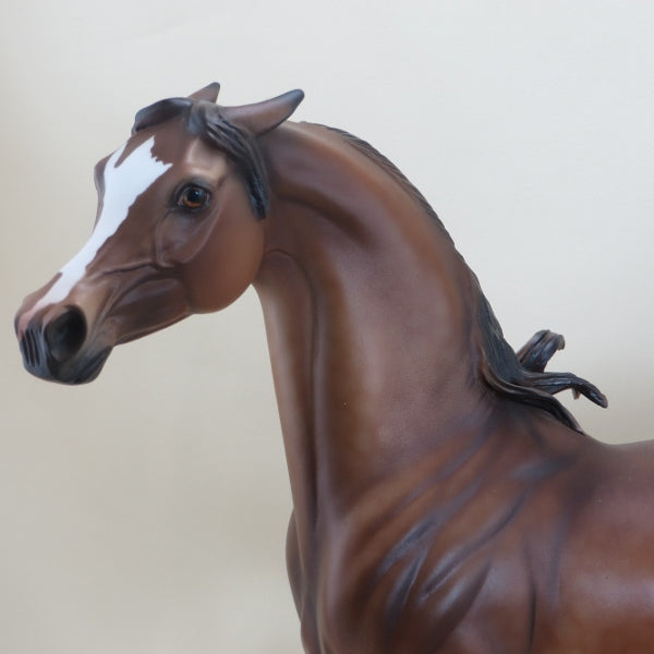 MACLOUGHLIN - OOAK Dapple Chestnut Pinned Ear Arabian 3/15