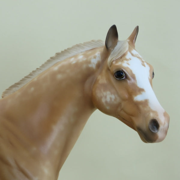 HATCH - OOAK Palomino Appaloosa Stock Horse 3/15