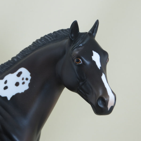 O'MURRY - OOAK Black Appaloosa Stock Horse - 3/15
