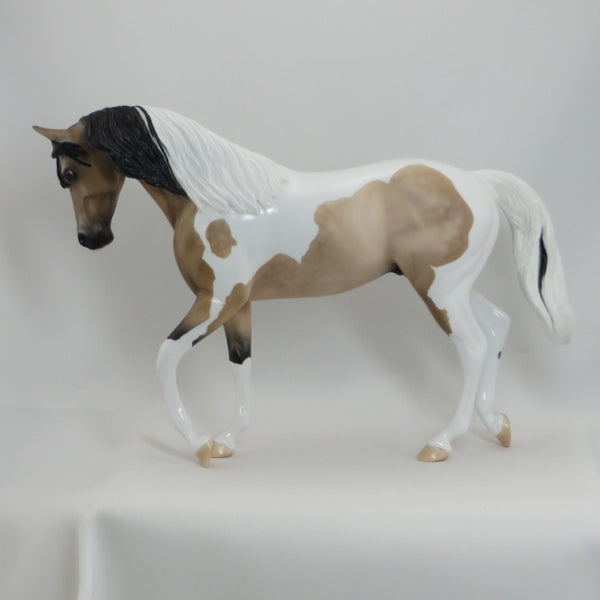 FIVE STAR - OOAK Dapple Buckskin Pinto Thoroughbred by D'Array Jone Frank - 5/15