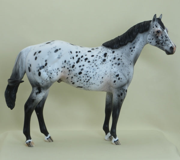 SPROUT - OOAK Leopard Appaloosa Stock Horse 3/15
