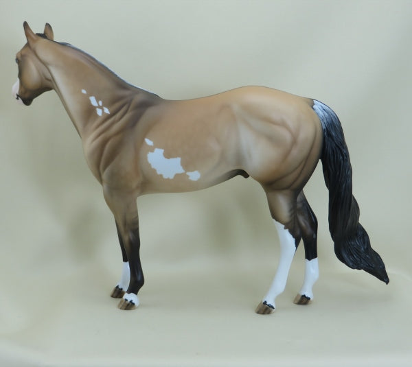 RAFFERTY - OOAK Dapple Frosty Dun Stock Paint 3/15