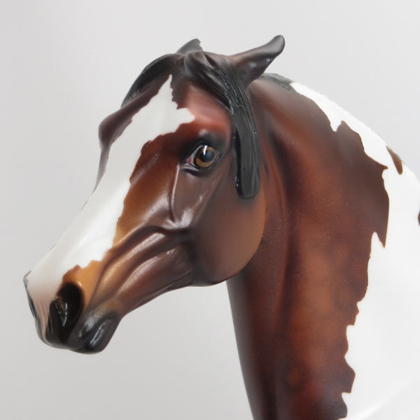 MIKA RACCOON - OOAK Dapple Bay Pinned Ear Pinto Morgan Model Horse - 5/15