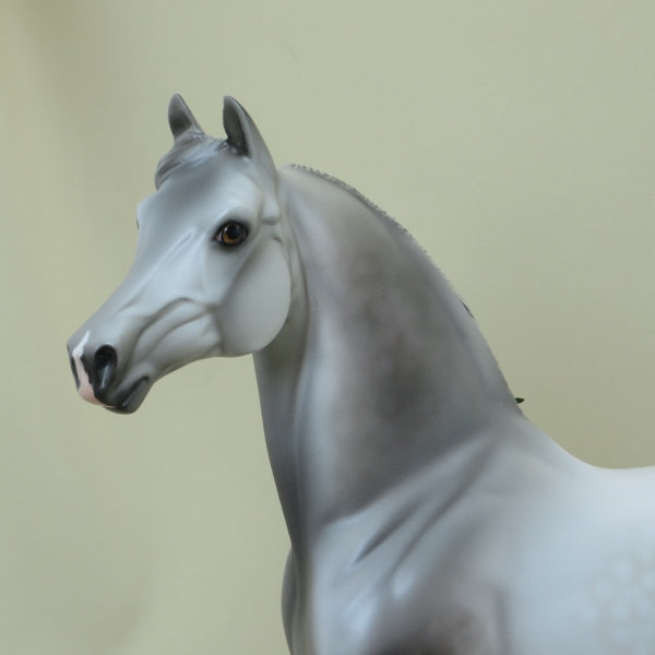 PUFKINS - OOAK Dapple Gray Morgan Model Horse with Ribbons - 4/15