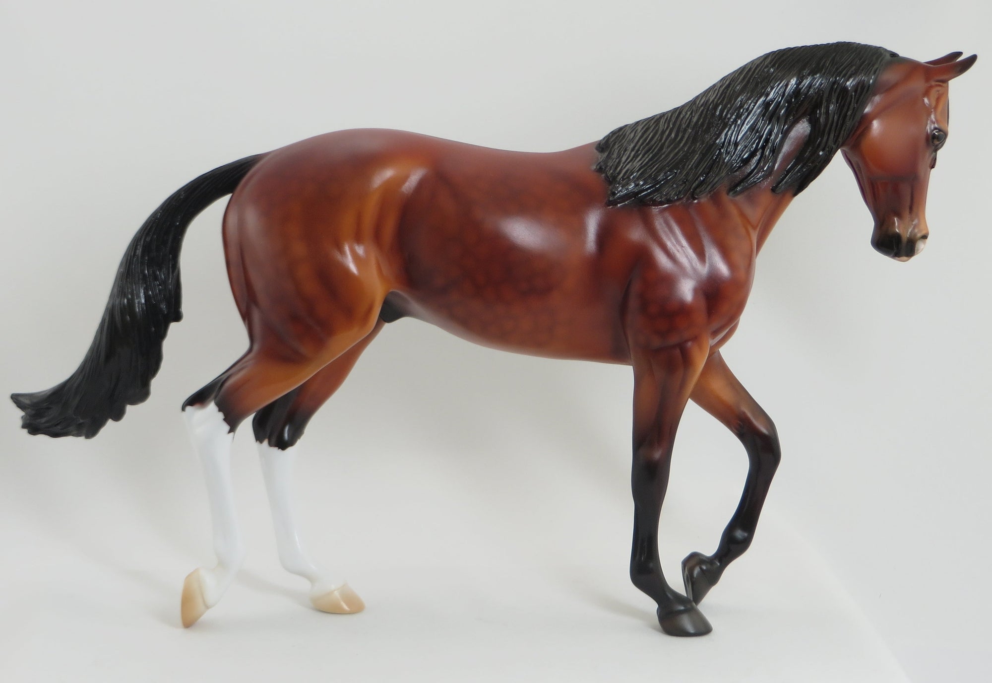 NOVA REGAL - OOAK Dappled Bay Thoroughbred 5/15
