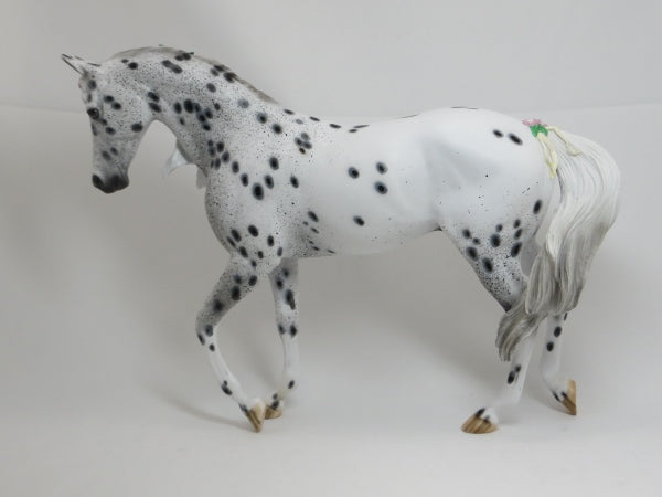 THE THEORY OF EVERYTHING - OOAK Appaloosa Thoroughbred with Delicate Flowers & Ribbons - 2/15