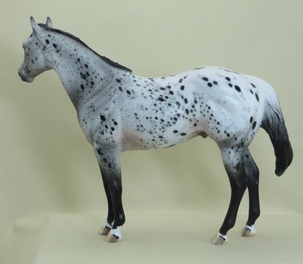 SPROUT - OOAK Leopard Appaloosa Stock Horse 3/15