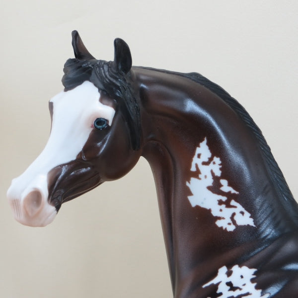 PLUNKETT - OOAK Dark Bay Pinto Arabian 3/15