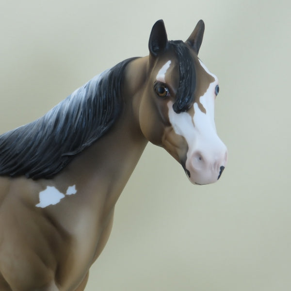 RAFFERTY - OOAK Dapple Frosty Dun Stock Paint 3/15