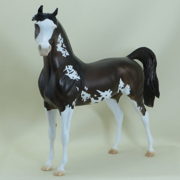 PLUNKETT - OOAK Dark Bay Pinto Arabian 3/15