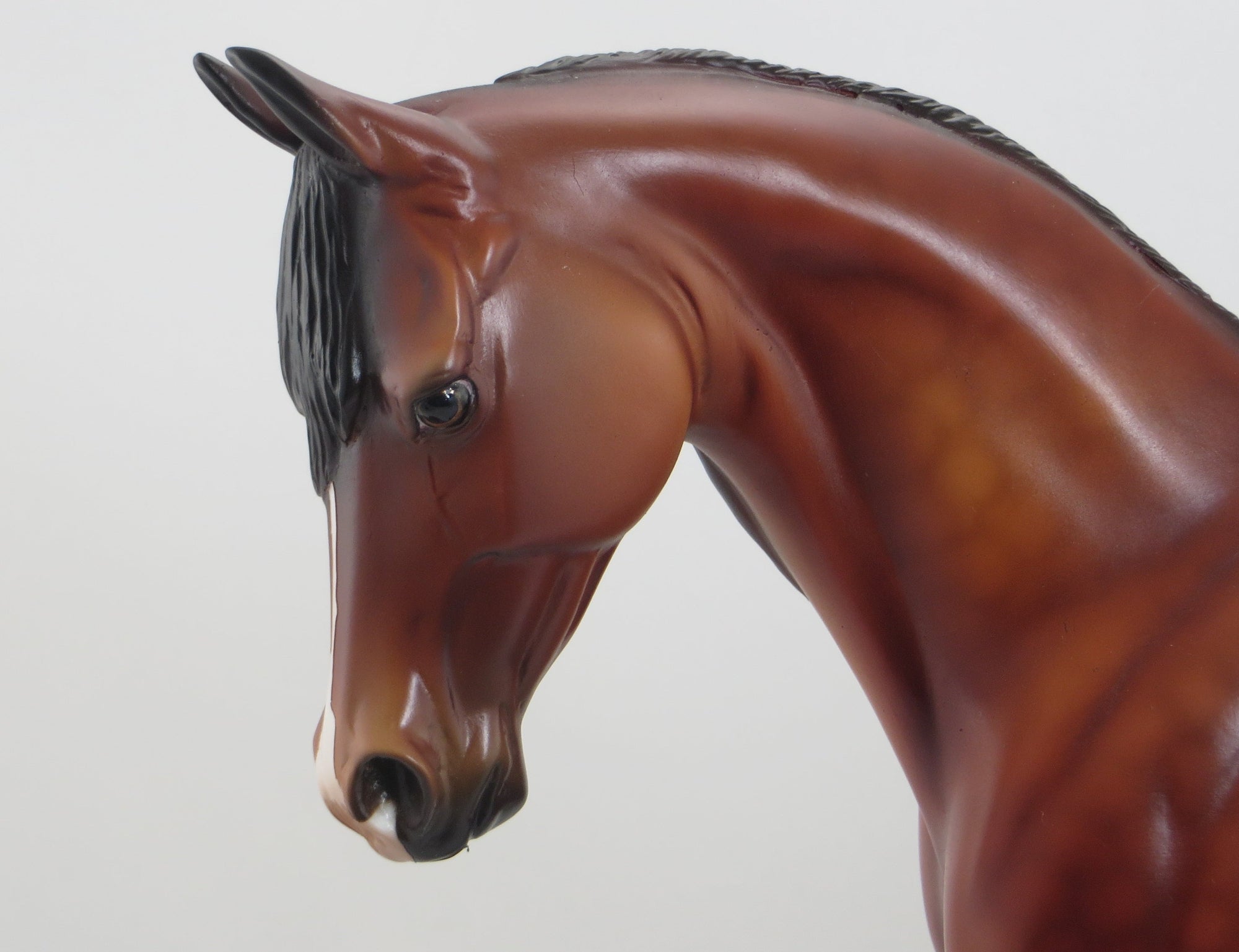 NOVA REGAL - OOAK Dappled Bay Thoroughbred 5/15