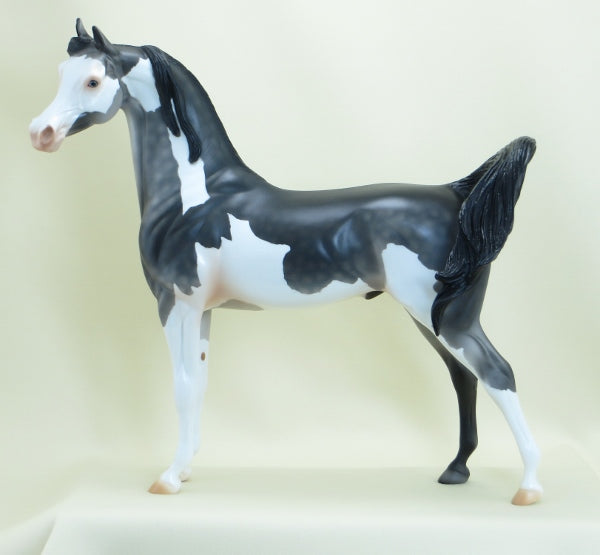 KUMBAYA - OOAK Dark Dapple Gray Pinto Arabian - 3/15