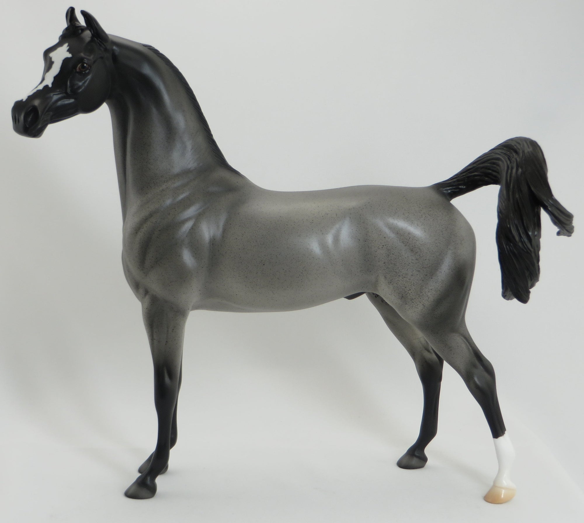 ZALANK - OOAK Blue Roan Arabian Marwari Model Horse - 5/15