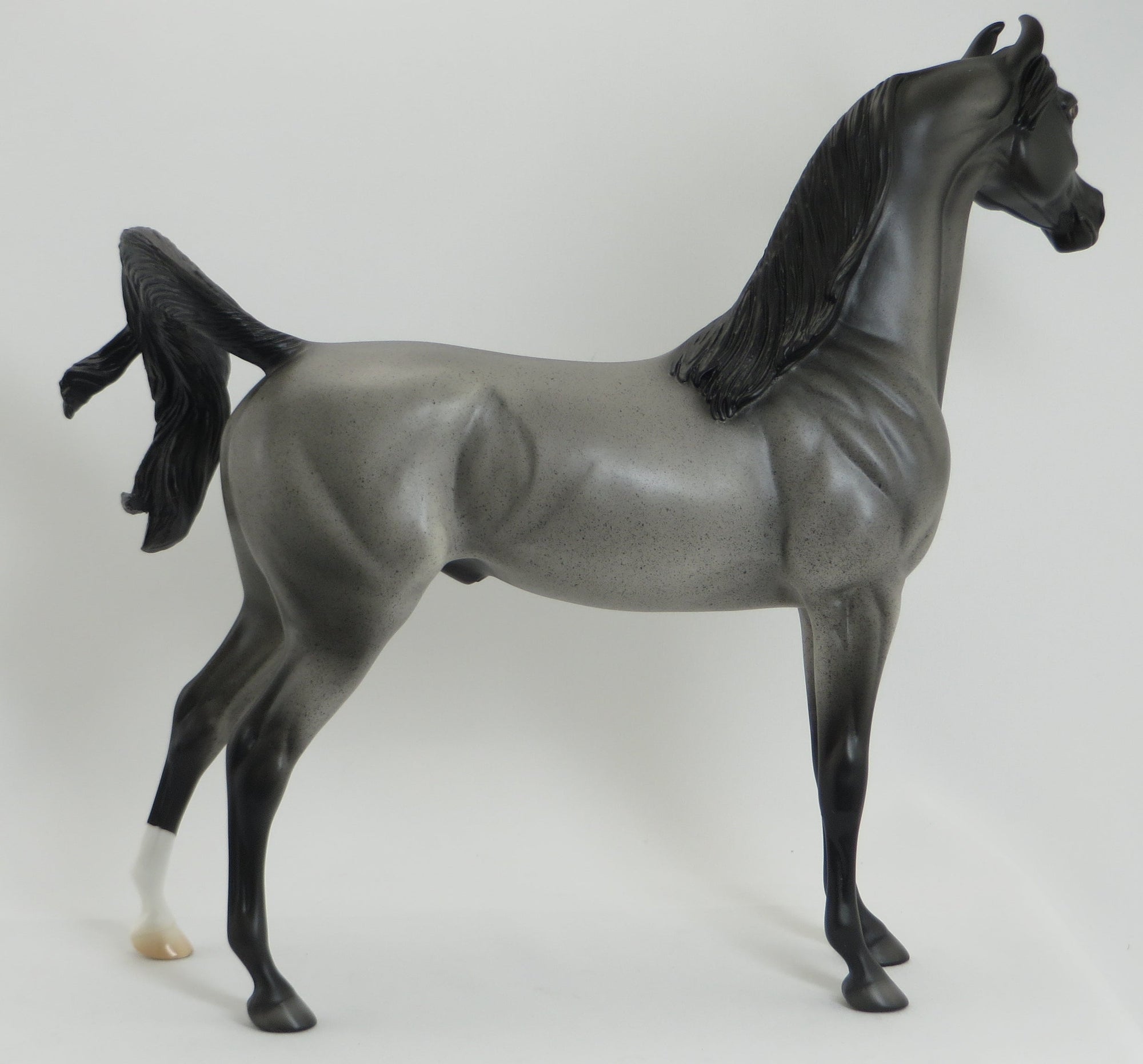 ZALANK - OOAK Blue Roan Arabian Marwari Model Horse - 5/15