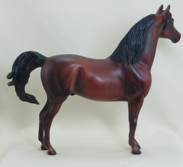 WEST COAST FRIENDSHIP - OOAK Dapple Bay Morgan 3/15