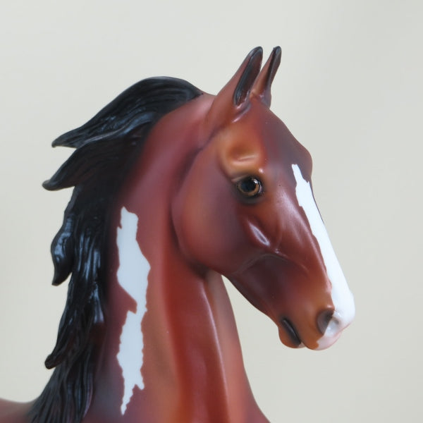 MACQUAIDS - OOAK Bay Pinto Lifted Tail Saddlebred 3/15