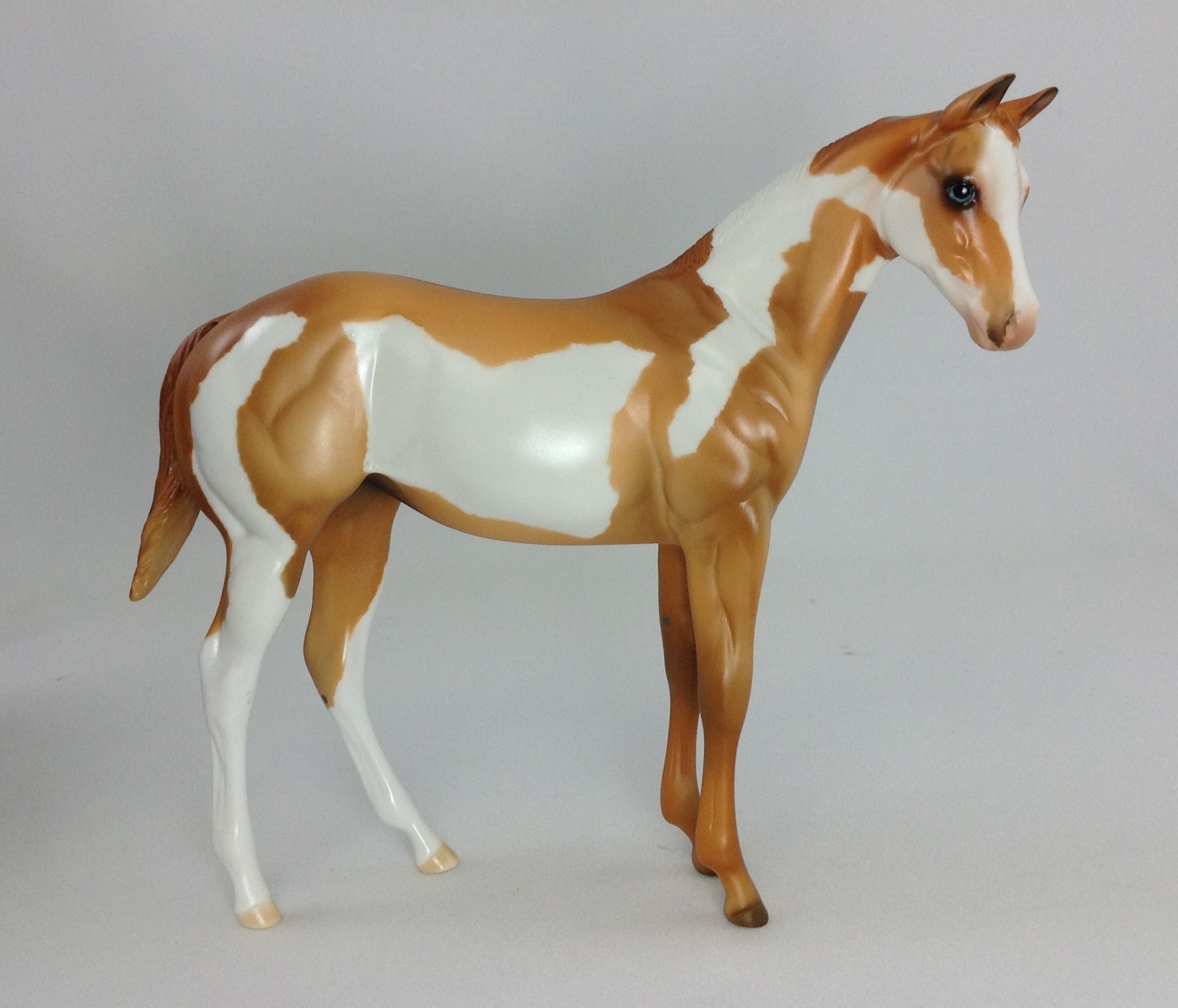 PUMPKIN SOUFFLE - OOAK Weanling Model Horse