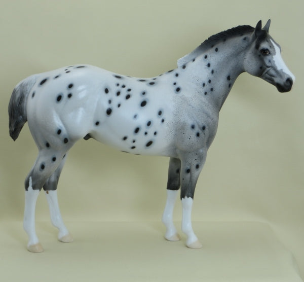 HOODWINK - Leopard Appaloosa Stock Horse LE7 3/15