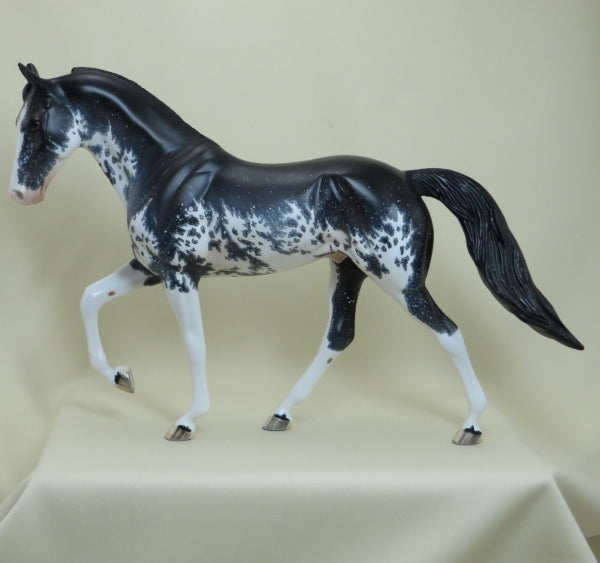 CHIPPEWA FALLS - OOAK Black Sabino Pinto Tennessee Walker with Mapping - 4/15