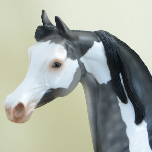 KUMBAYA - OOAK Dark Dapple Gray Pinto Arabian - 3/15