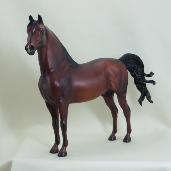 WEST COAST FRIENDSHIP - OOAK Dapple Bay Morgan 3/15