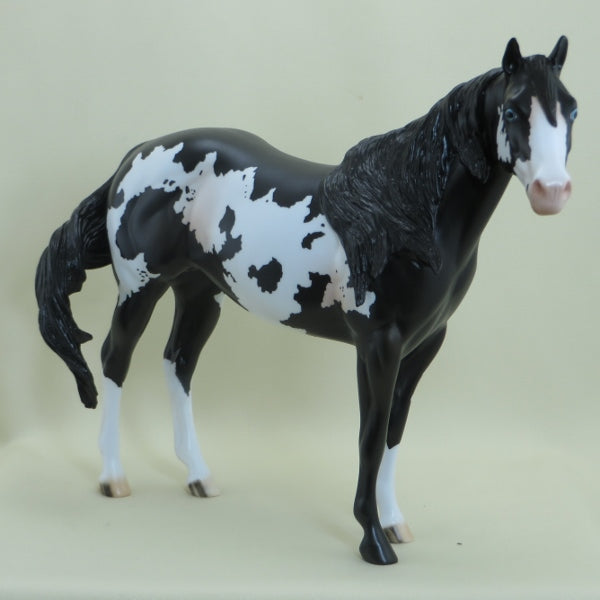 CHECKERS - OOAK Black Overo Paint 4/15