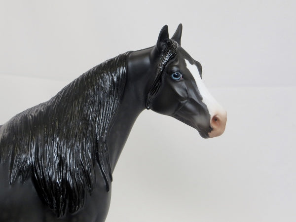 JACKIE O - Glossy Mane & Tail w/ Dapples Black Stock Horse LE15 2/15