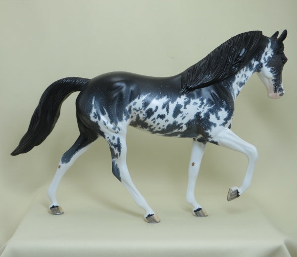 CHIPPEWA FALLS - OOAK Black Sabino Pinto Tennessee Walker with Mapping - 4/15