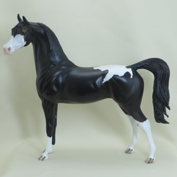 VANILLA TWILiGHT - OOAK Black Snowcap Appaloosa Mare Arabian 3/15