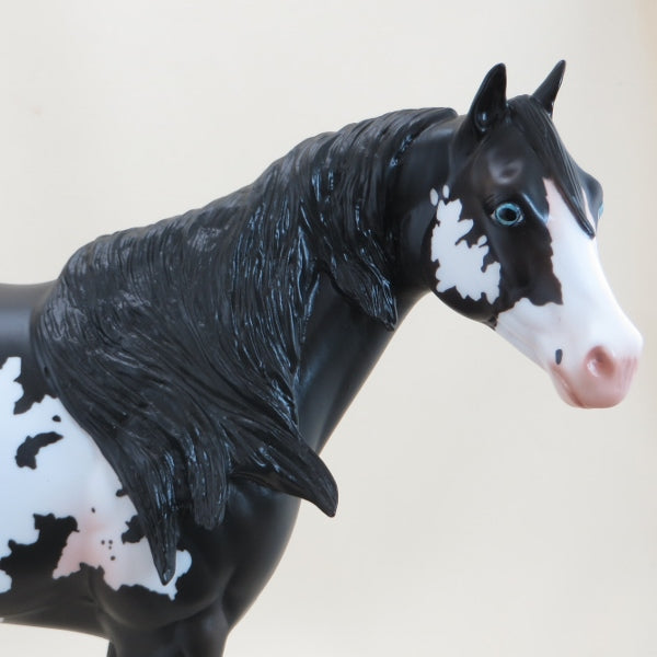 CHECKERS - OOAK Black Overo Paint 4/15