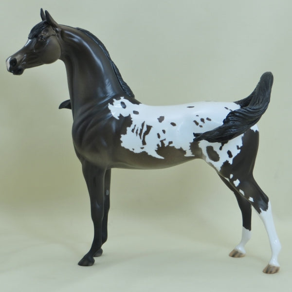 CHICKADEE - OOAK Dark Bay Appaloosa Open Mouth Arabian Mare 3/15
