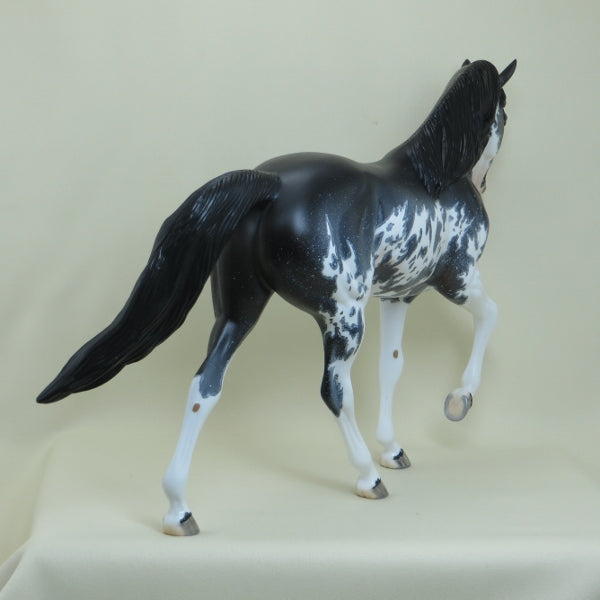CHIPPEWA FALLS - OOAK Black Sabino Pinto Tennessee Walker with Mapping - 4/15