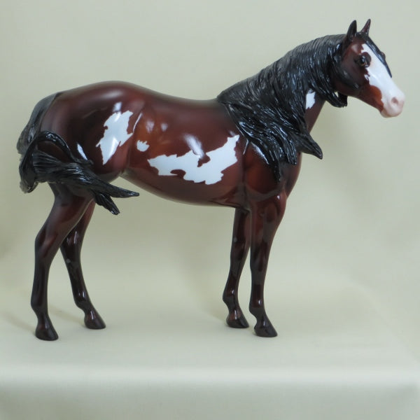 SHINE - Bay Overo Paint Stock Horse LE3 4/15