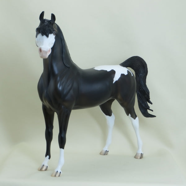 VANILLA TWILiGHT - OOAK Black Snowcap Appaloosa Mare Arabian 3/15