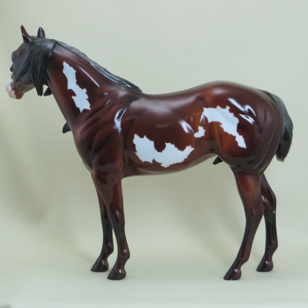 SHINE - Bay Overo Paint Stock Horse LE3 4/15