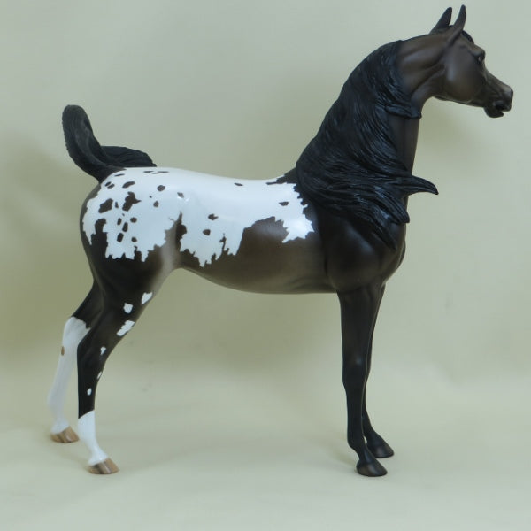 CHICKADEE - OOAK Dark Bay Appaloosa Open Mouth Arabian Mare 3/15