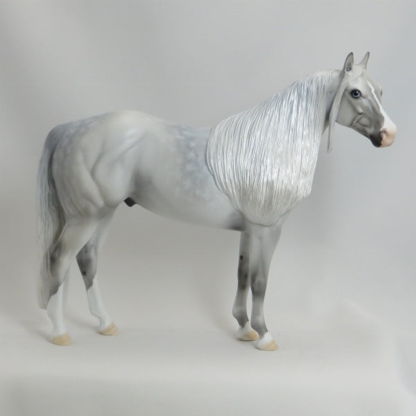 FERNWOOD - OOAK Star Dapple Gray Stock Horse 5/15