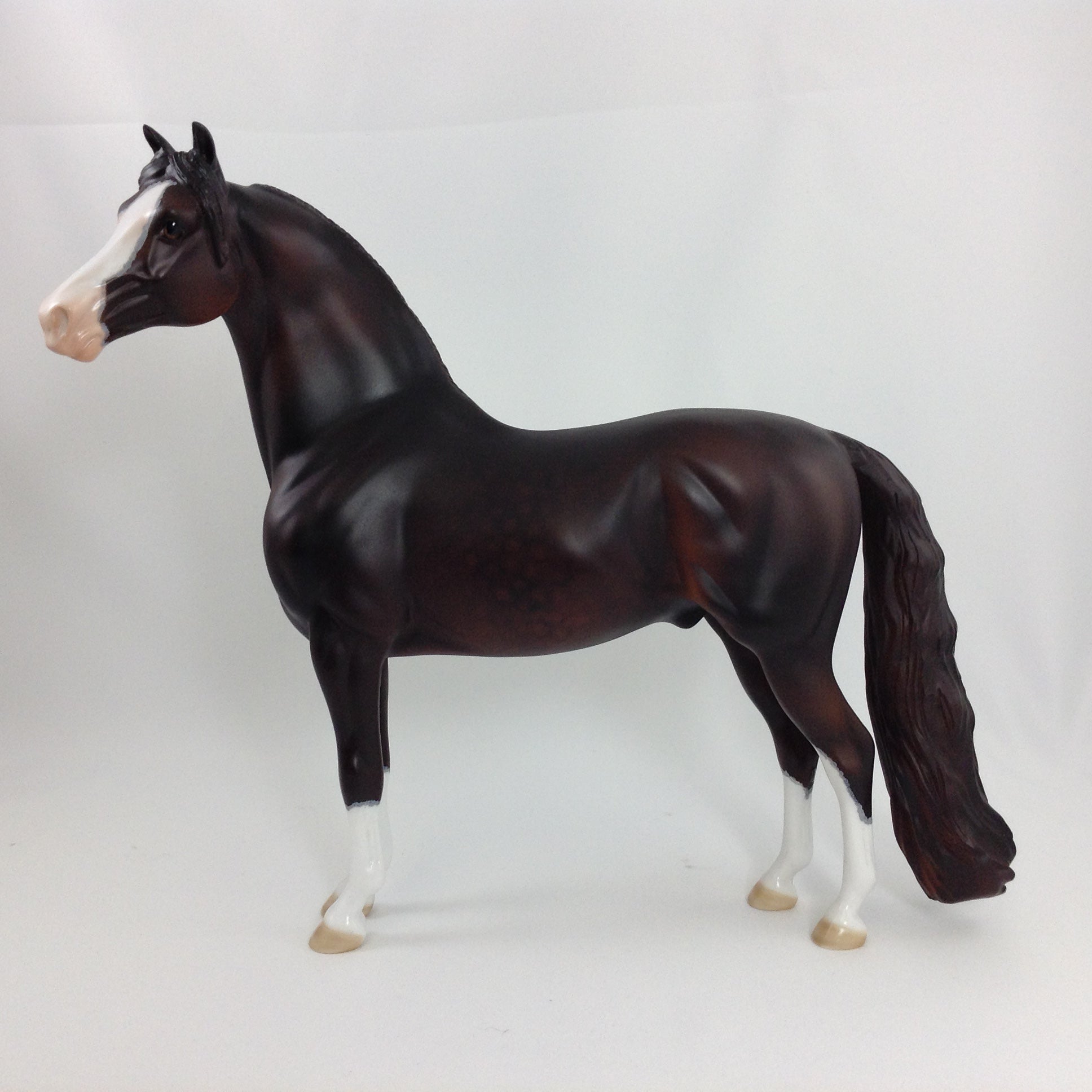 EDGAR - OOAK Morgan With Mapping