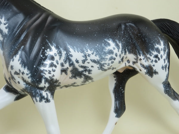 CHIPPEWA FALLS - OOAK Black Sabino Pinto Tennessee Walker with Mapping - 4/15