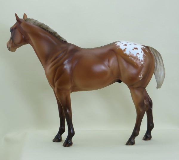 TADPOLE - OOAK Chestnut Blanket Appaloosa with Detailed Etching by Julie Keim - 3/15