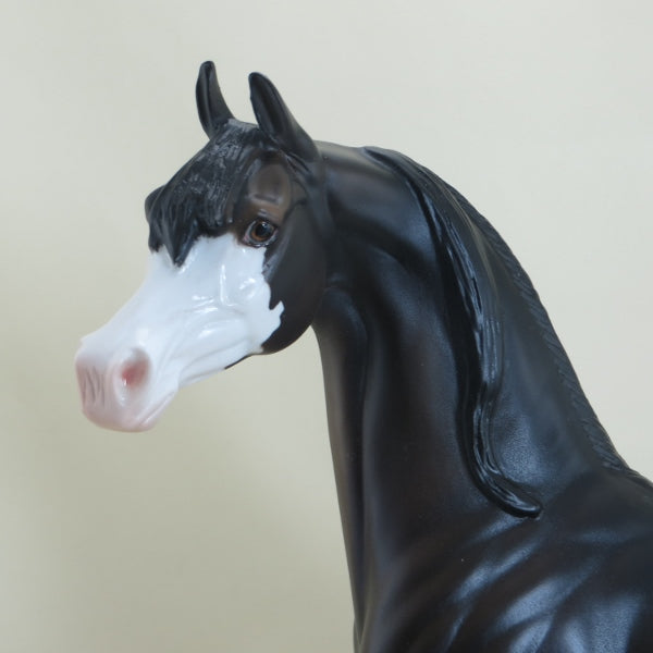 VANILLA TWILiGHT - OOAK Black Snowcap Appaloosa Mare Arabian 3/15