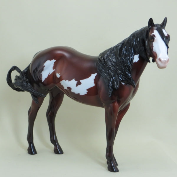 SHINE - Bay Overo Paint Stock Horse LE3 4/15
